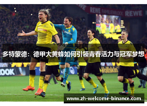 多特蒙德：德甲大黄蜂如何引领青春活力与冠军梦想