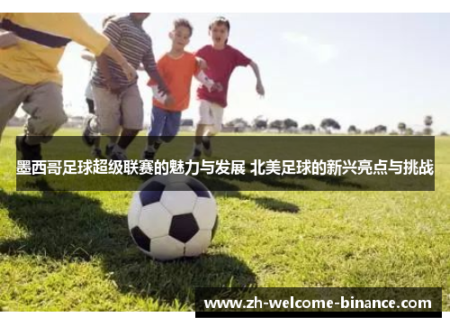 墨西哥足球超级联赛的魅力与发展 北美足球的新兴亮点与挑战