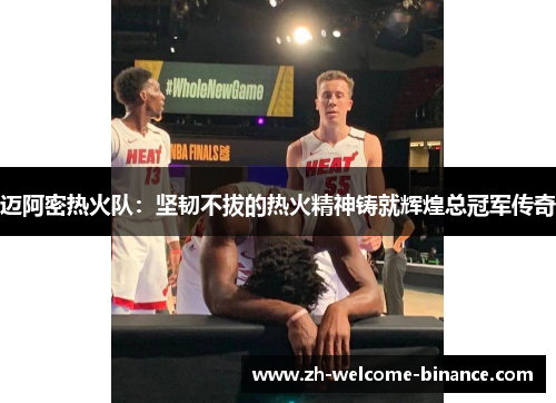 迈阿密热火队：坚韧不拔的热火精神铸就辉煌总冠军传奇