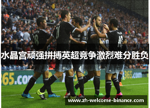 水晶宫顽强拼搏英超竞争激烈难分胜负